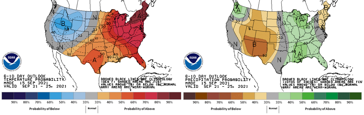 The 6-10 day outlook 